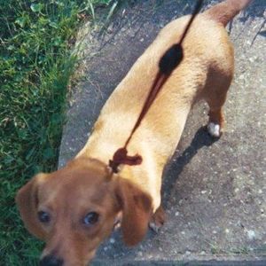 Meet your Posher, Pat